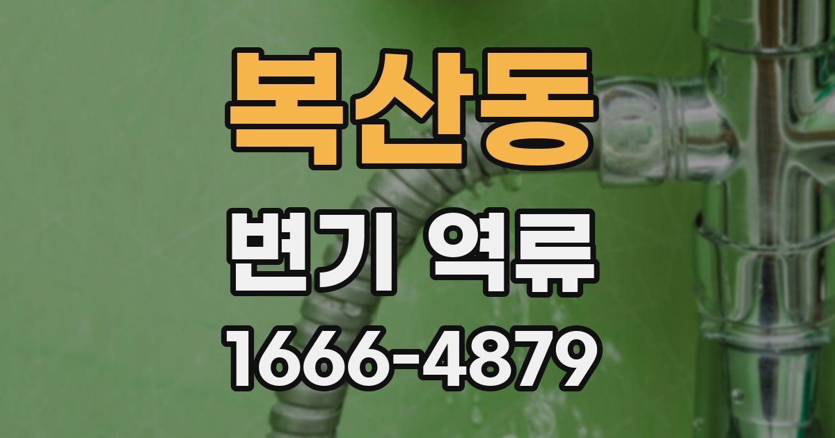 복산동 변기 역류