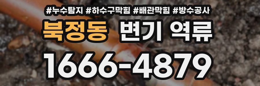 북정동 변기 역류