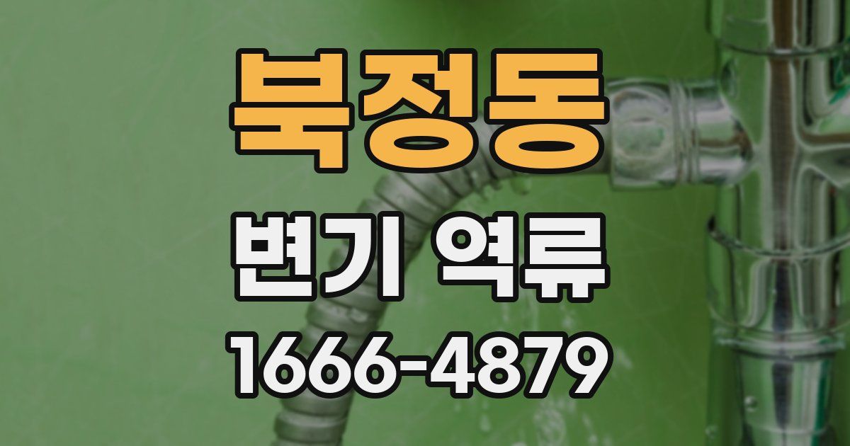 북정동 변기 역류