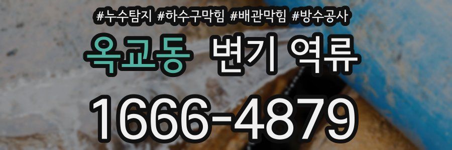 옥교동 변기 역류