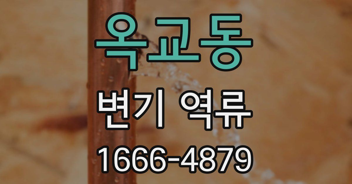 옥교동 변기 역류