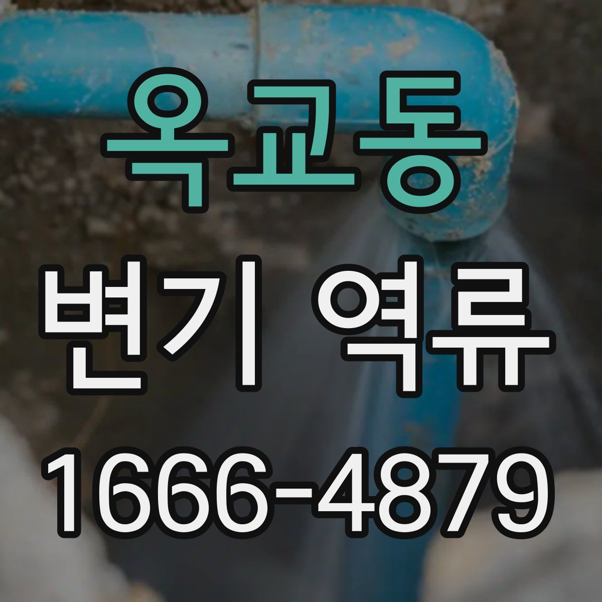 옥교동 변기 역류
