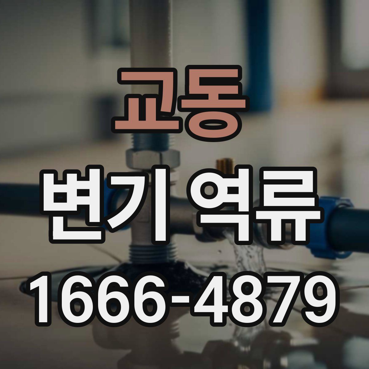 교동 변기 역류