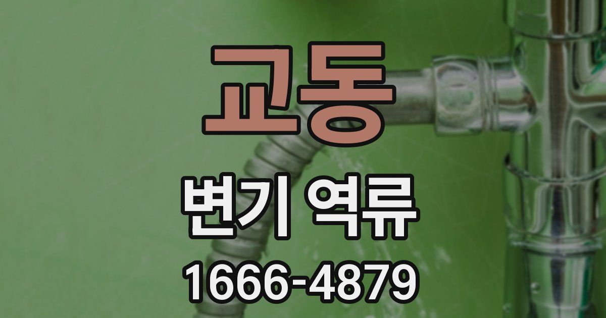 교동 변기 역류