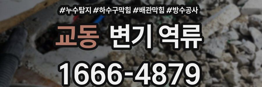 교동 변기 역류
