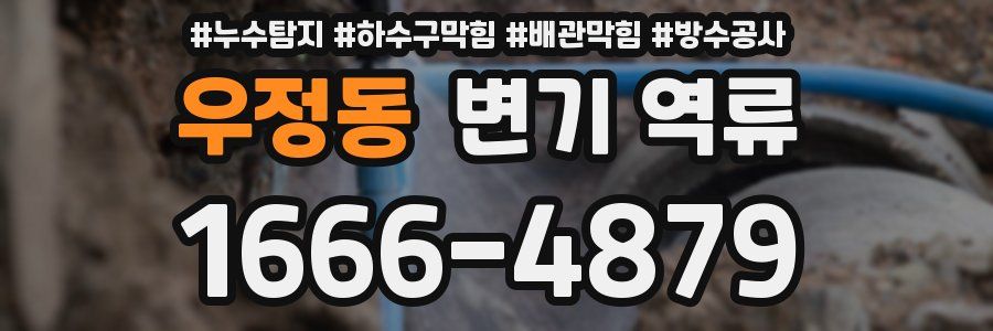 우정동 변기 역류