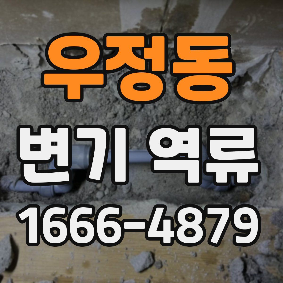 우정동 변기 역류