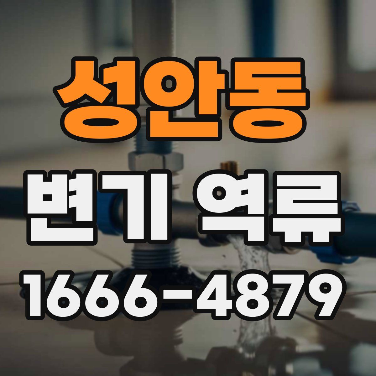 성안동 변기 역류