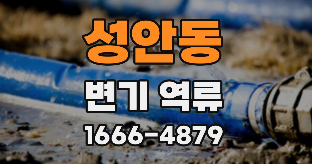 성안동 변기 역류