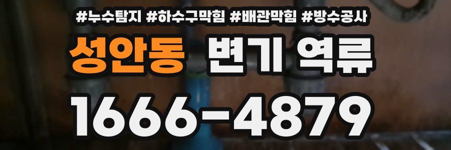 성안동 변기 역류