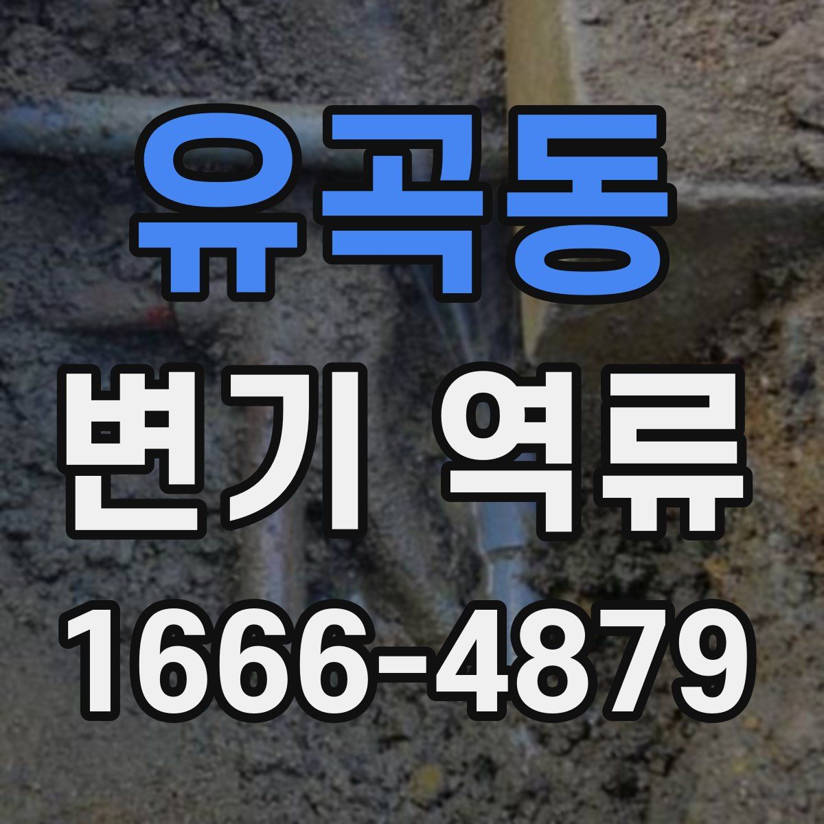 유곡동 변기 역류