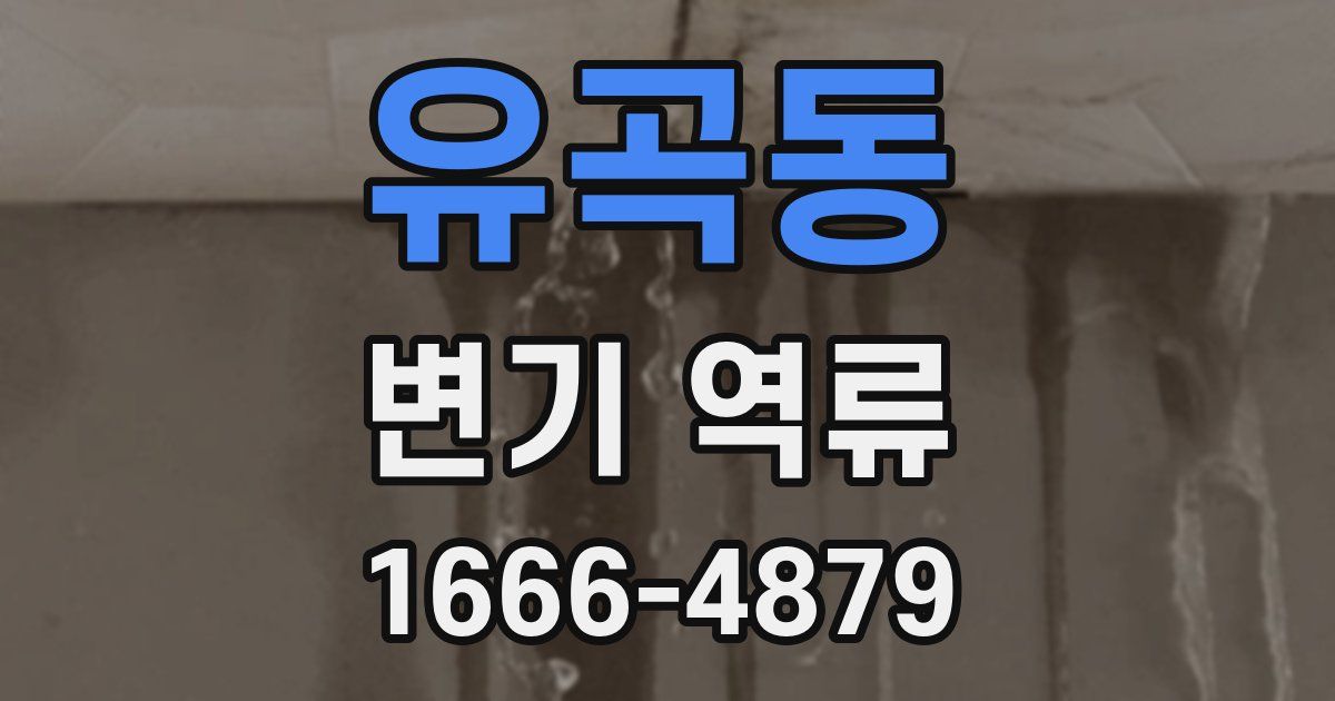 유곡동 변기 역류