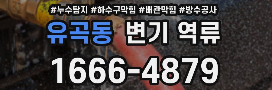 유곡동 변기 역류