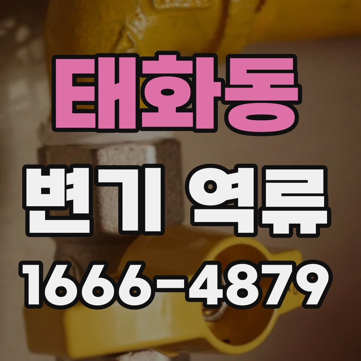 태화동 변기 역류