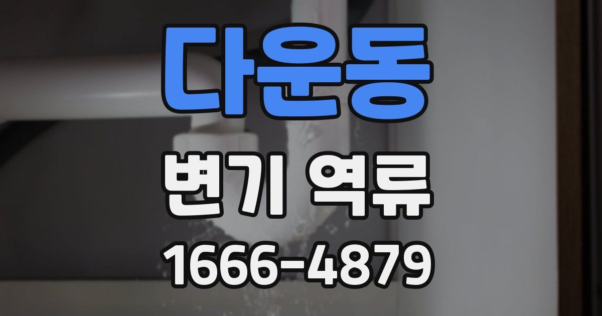 다운동 변기 역류