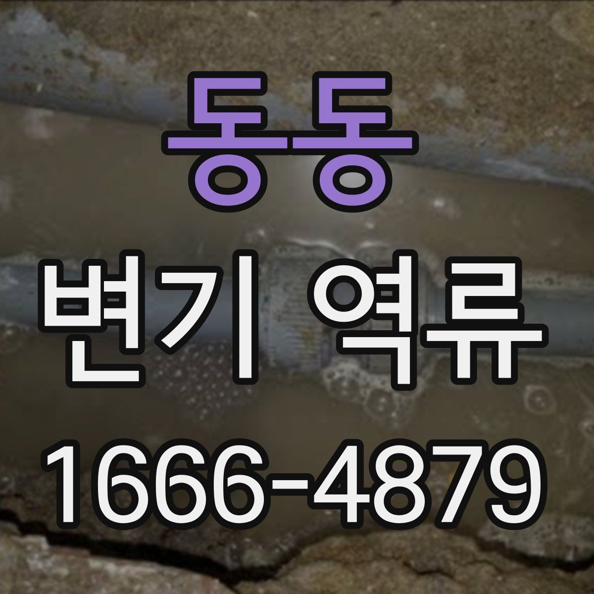 동동 변기 역류