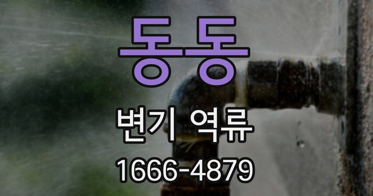 동동 변기 역류