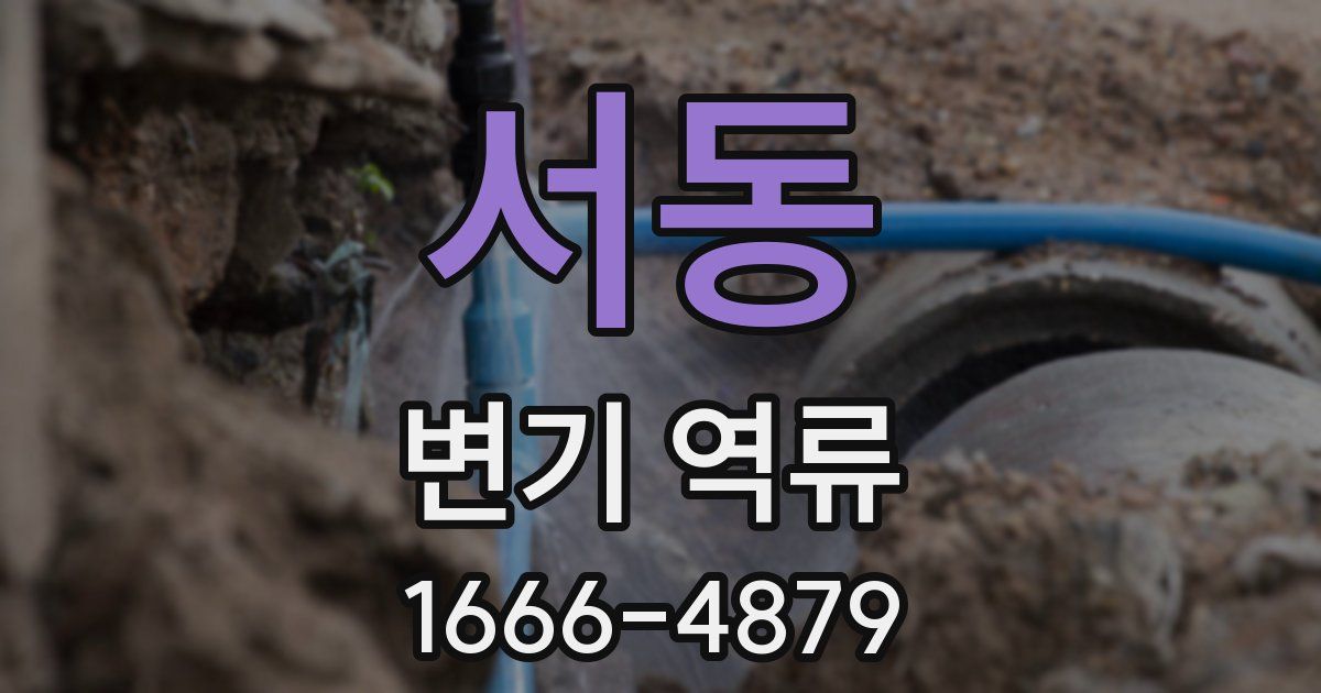 서동 변기 역류