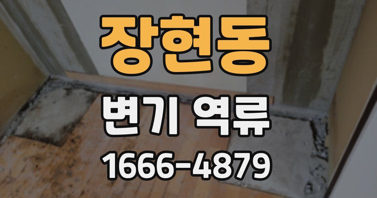 장현동 변기 역류