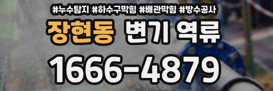 장현동 변기 역류