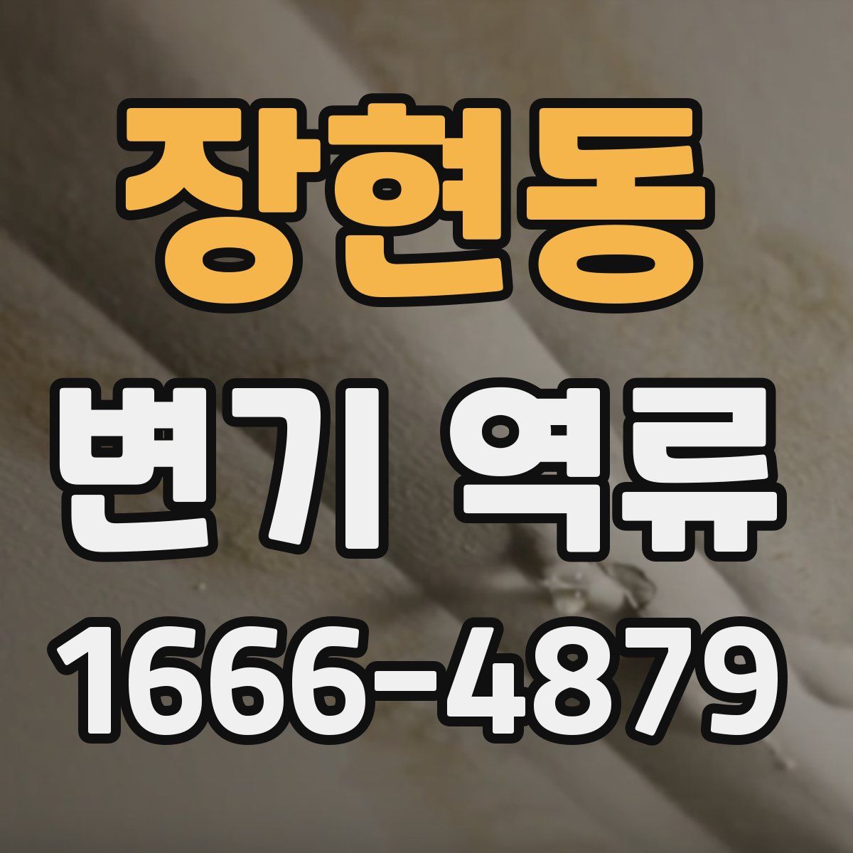장현동 변기 역류