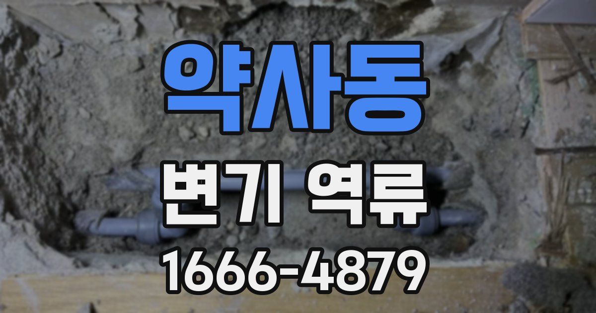 약사동 변기 역류