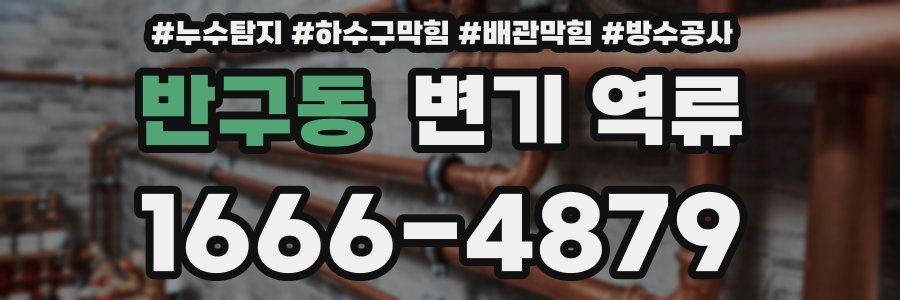 반구동 변기 역류