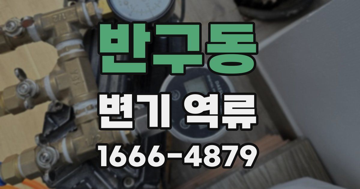 반구동 변기 역류