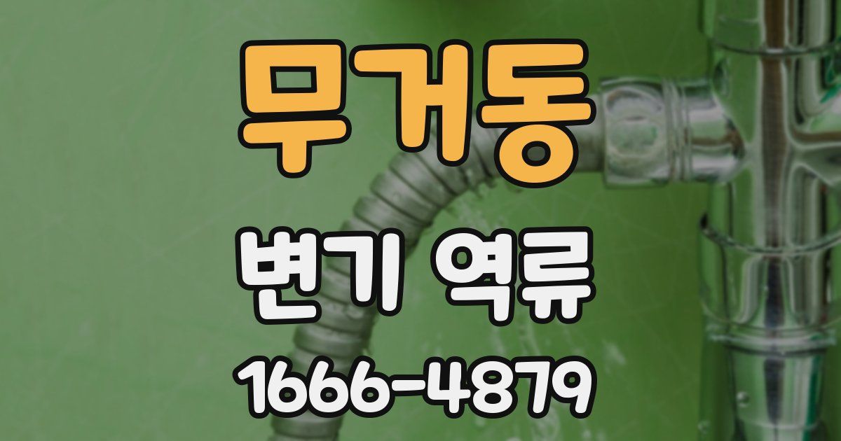 무거동 변기 역류