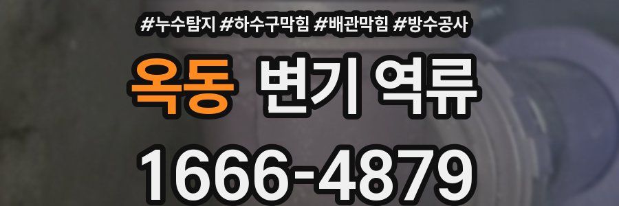옥동 변기 역류