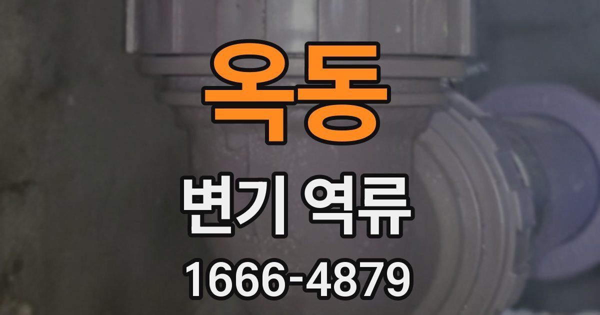 옥동 변기 역류