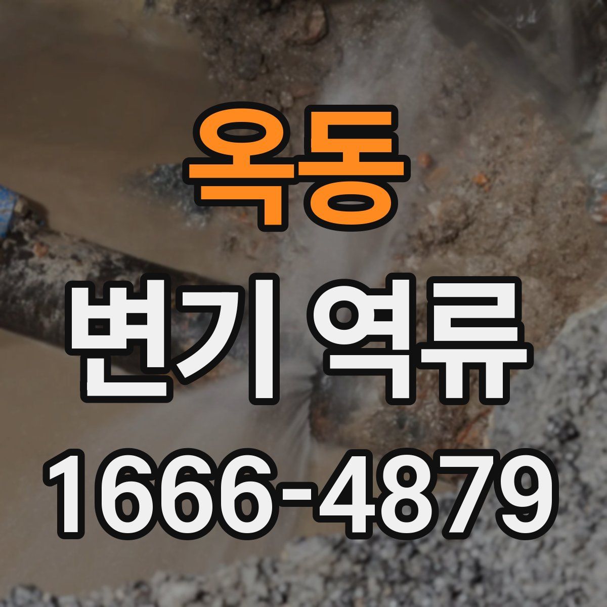 옥동 변기 역류