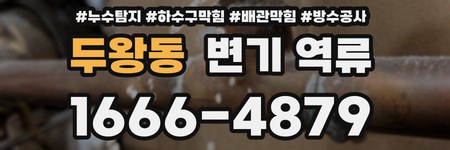 두왕동 변기 역류