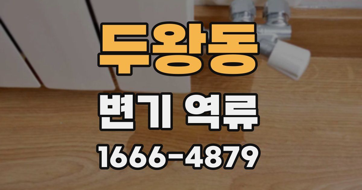 두왕동 변기 역류