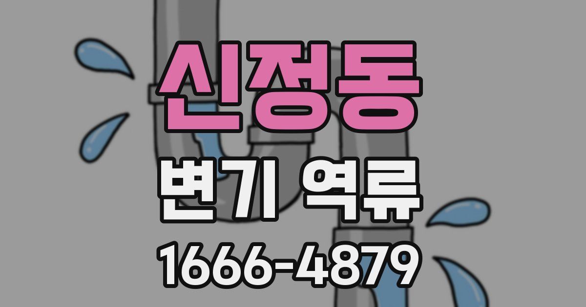 신정동 변기 역류