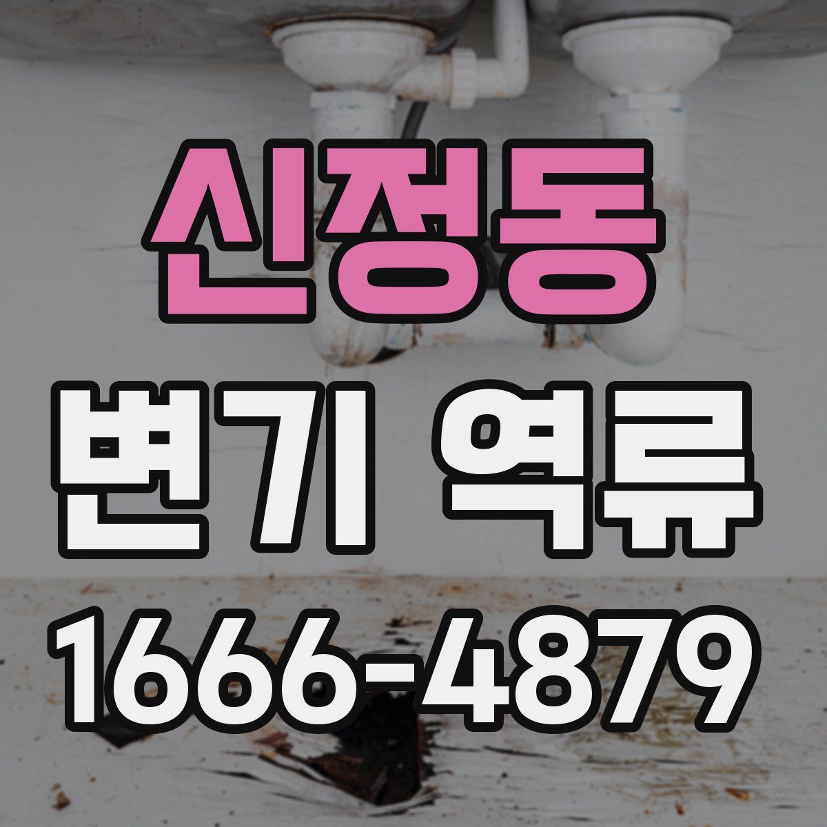 신정동 변기 역류