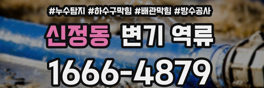 신정동 변기 역류