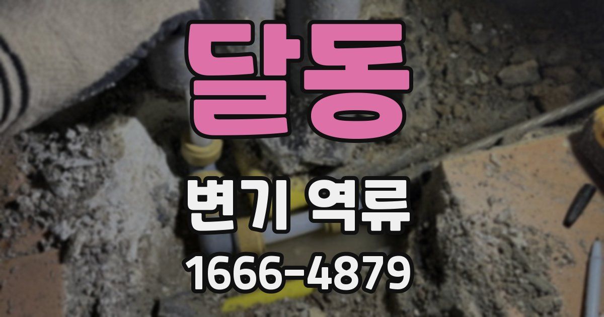 달동 변기 역류