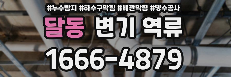 달동 변기 역류