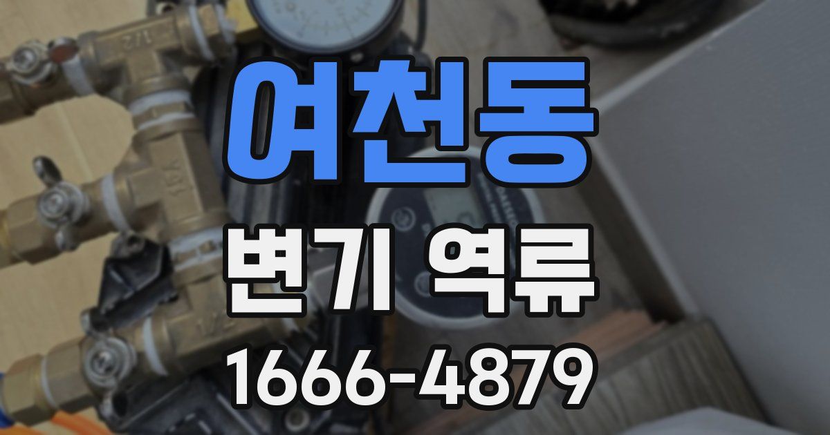 여천동 변기 역류