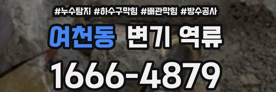 여천동 변기 역류