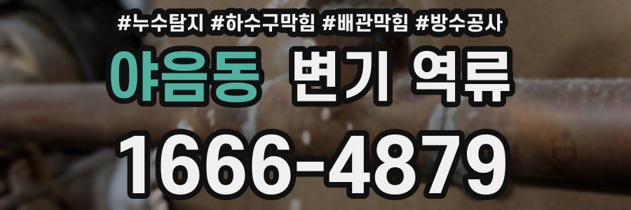 야음동 변기 역류