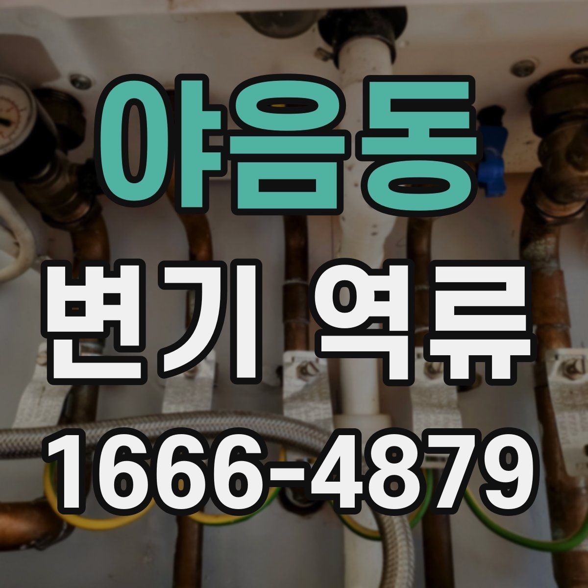야음동 변기 역류