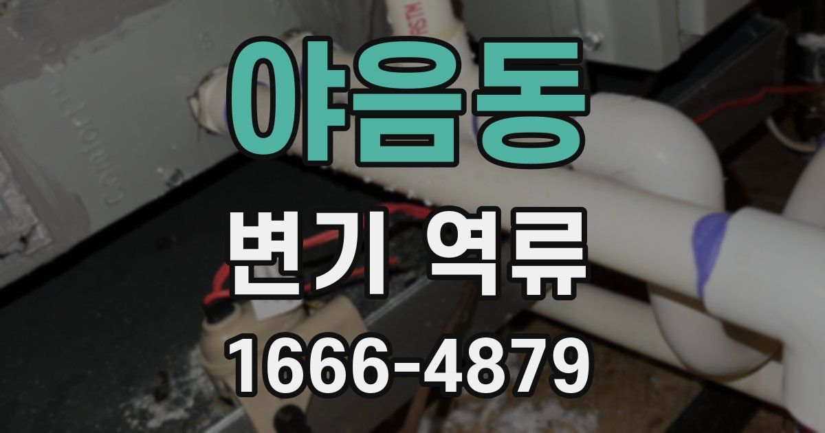 야음동 변기 역류