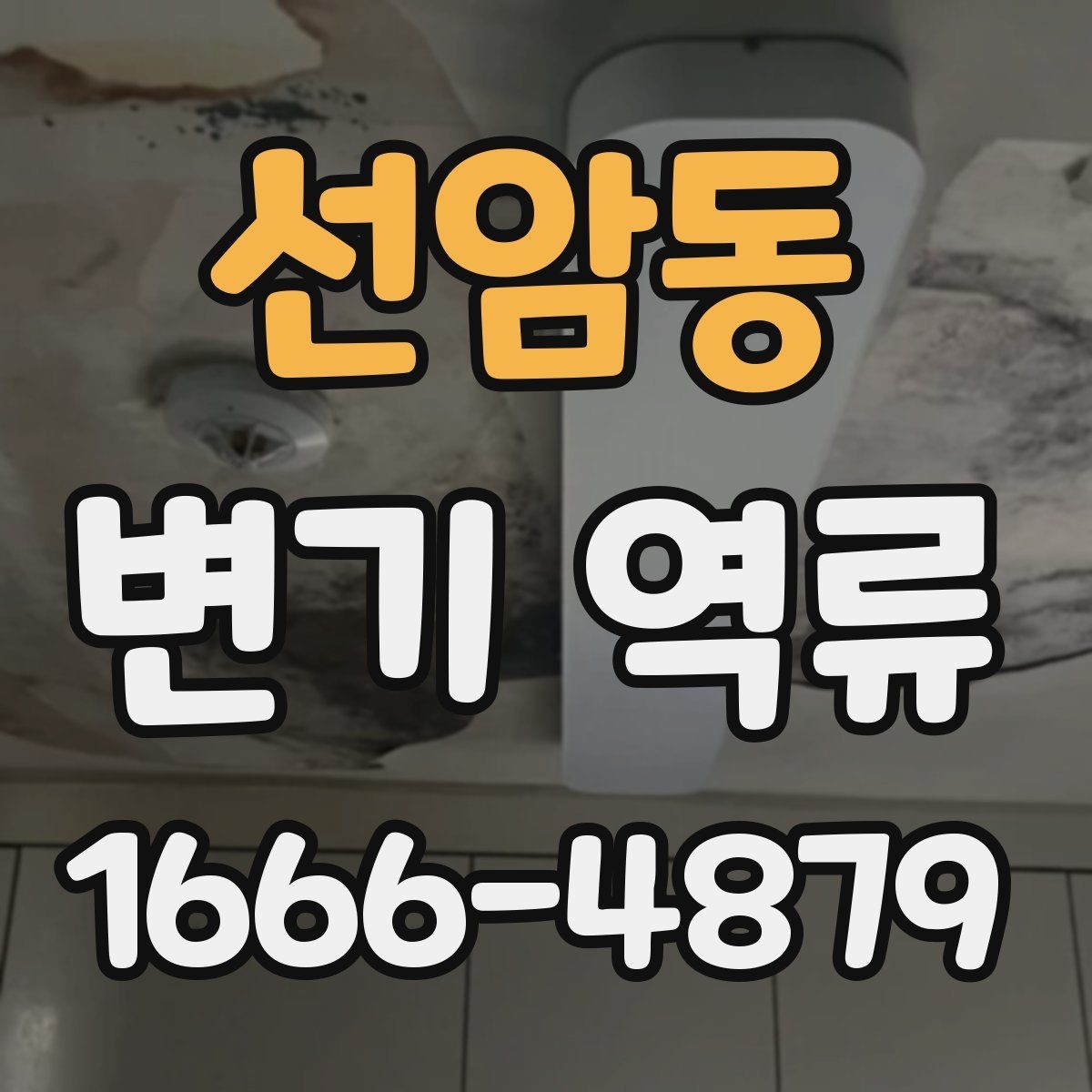 선암동 변기 역류 오염수 유입을 의심해야 하는 상황