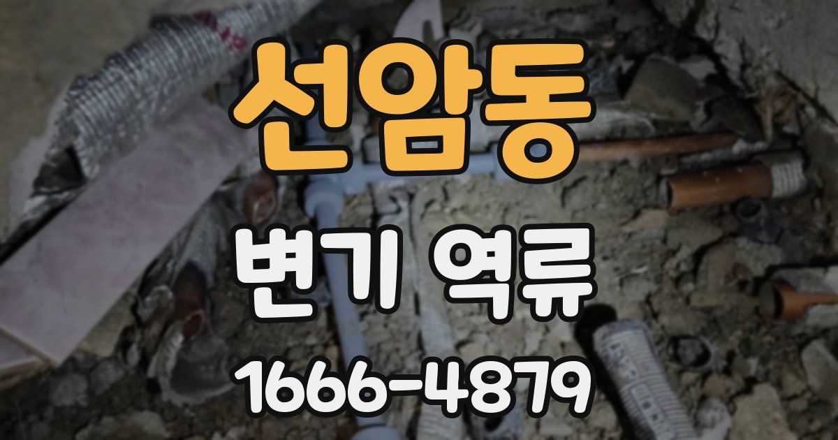 선암동 변기 역류