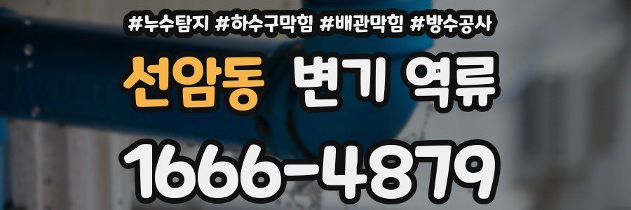 선암동 변기 역류