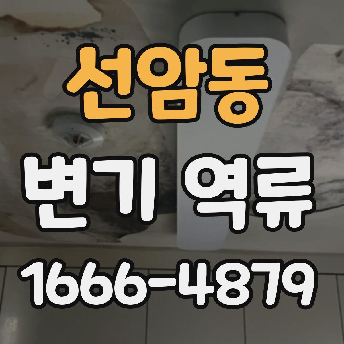 선암동 변기 역류
