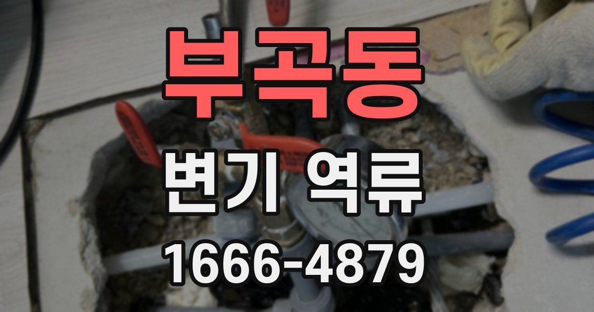 부곡동 변기 역류