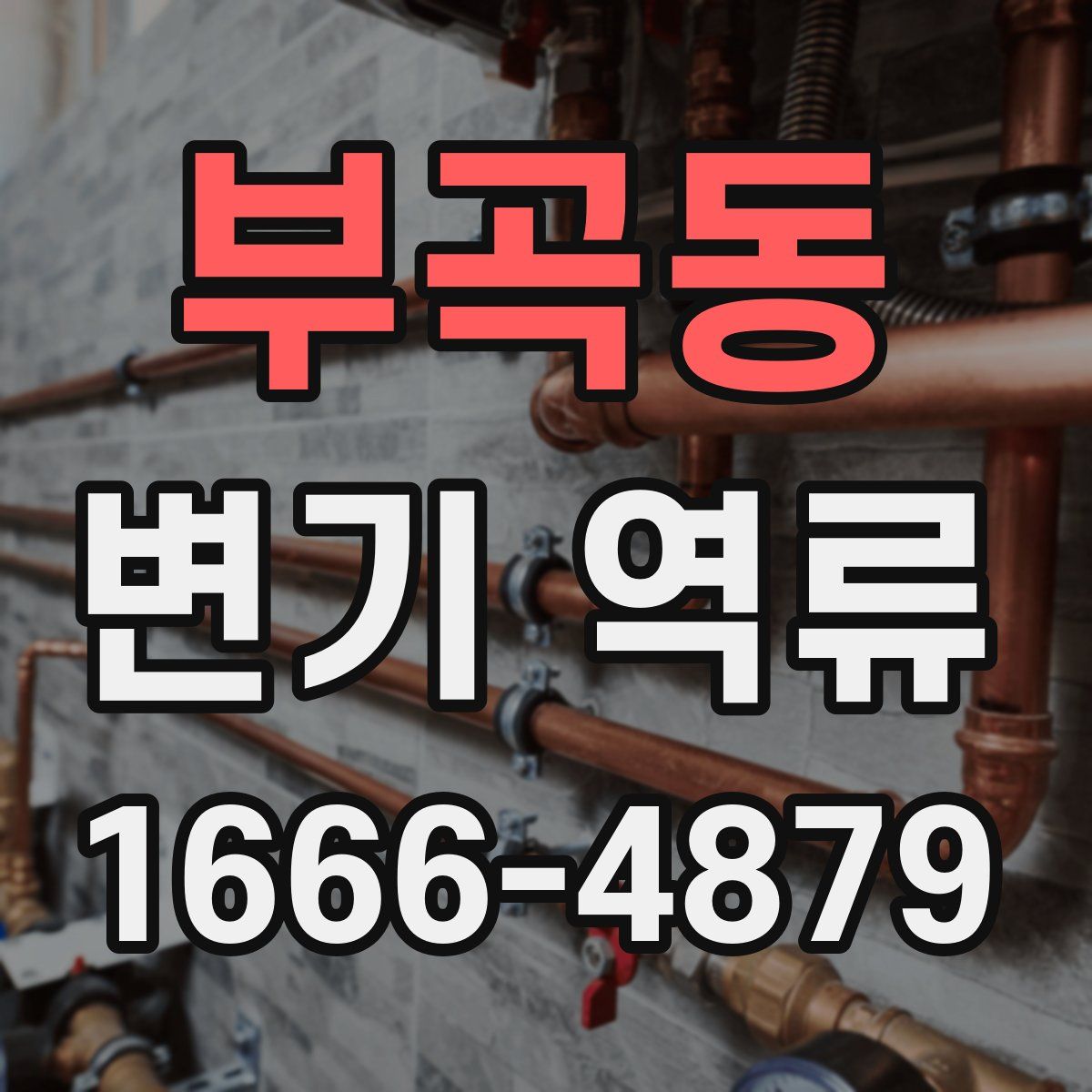 부곡동 변기 역류